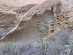 南カリフォルニアの昔は海の下であった証拠の岩