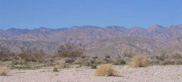 カリフォルニア州デザート