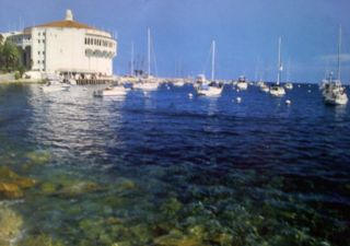 南カリフォルニアの夏