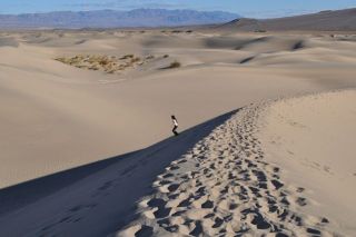 南カリフォルニアの秋冬
