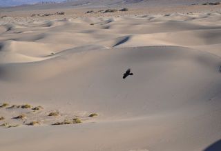 南カリフォルニアの秋冬