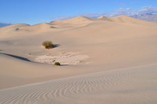 南カリフォルニアの国立公園と州立公園