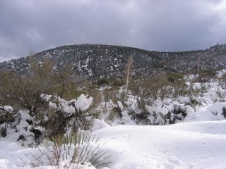 南カリフォルニアの秋冬