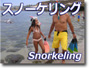 南カリフォルニア・スノーケリングツアー