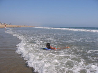 南カリフォルニアの夏